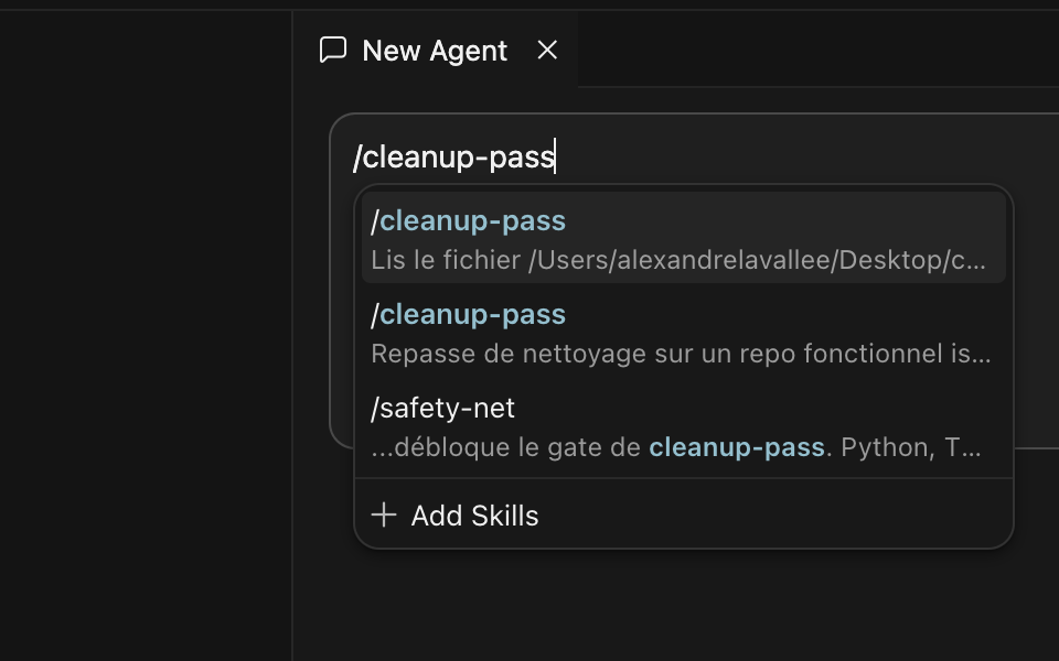 Le menu d'autocomplétion : deux entrées /cleanup-pass et la suggestion /safety-net
